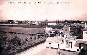 Sidi-Bel-Abbes - Ecole de Sonis - Environs